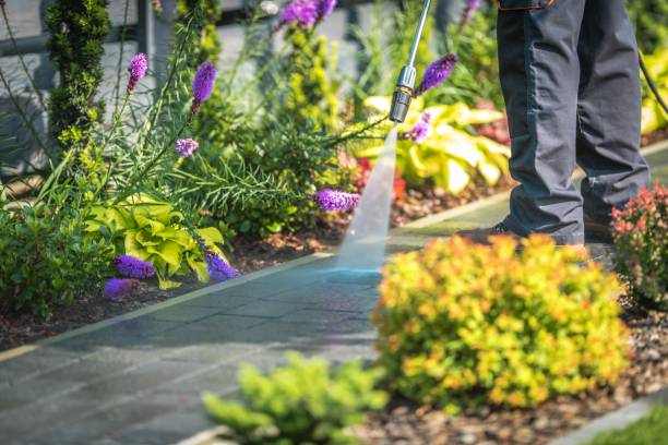 Best Parking Lot and Garage Cleaning  in Dayton, KY