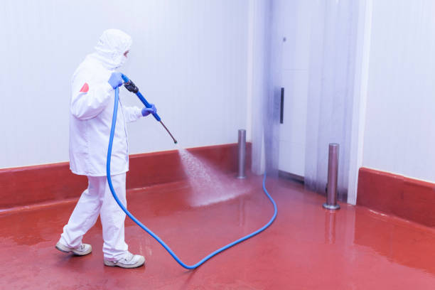 Best Driveway Pressure Washing  in Dayton, KY